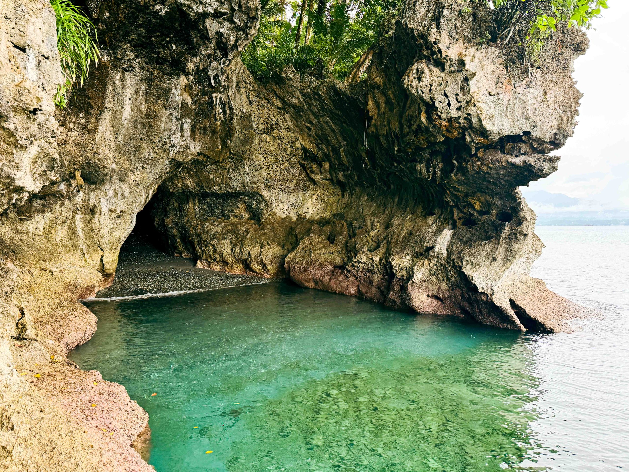 Coral Beach Liang Payer