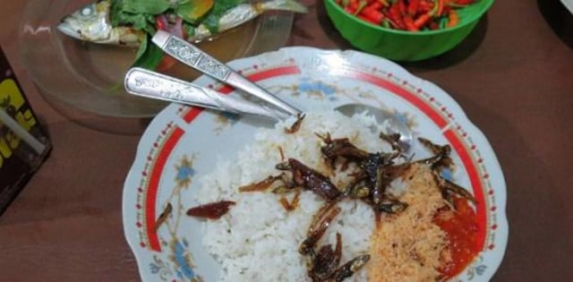 WhatsApp_Image_2019-01-13_at_19.25.53_m042d6