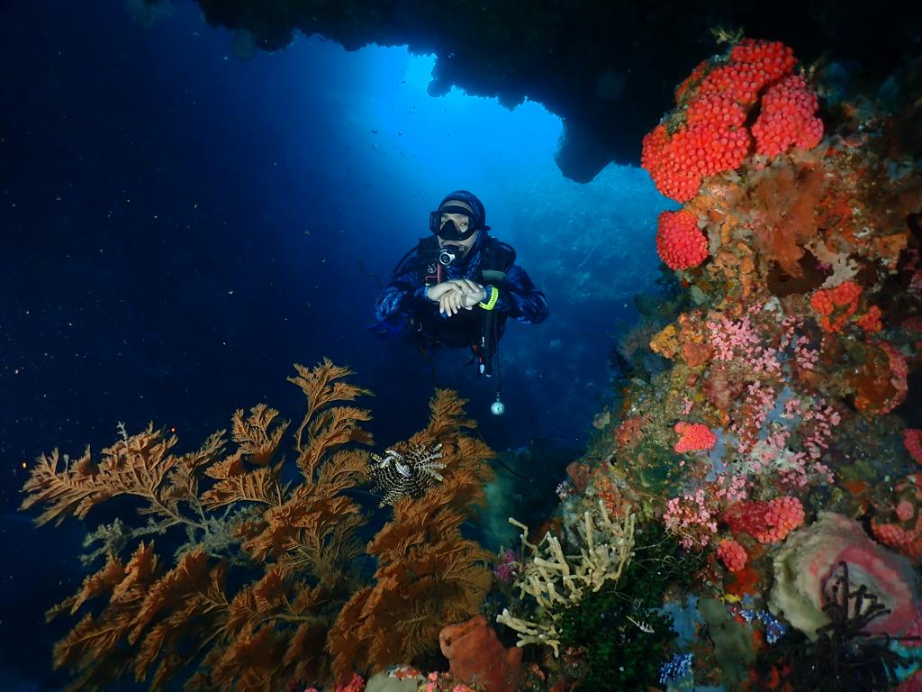 foto by Pieter Moein Manihin