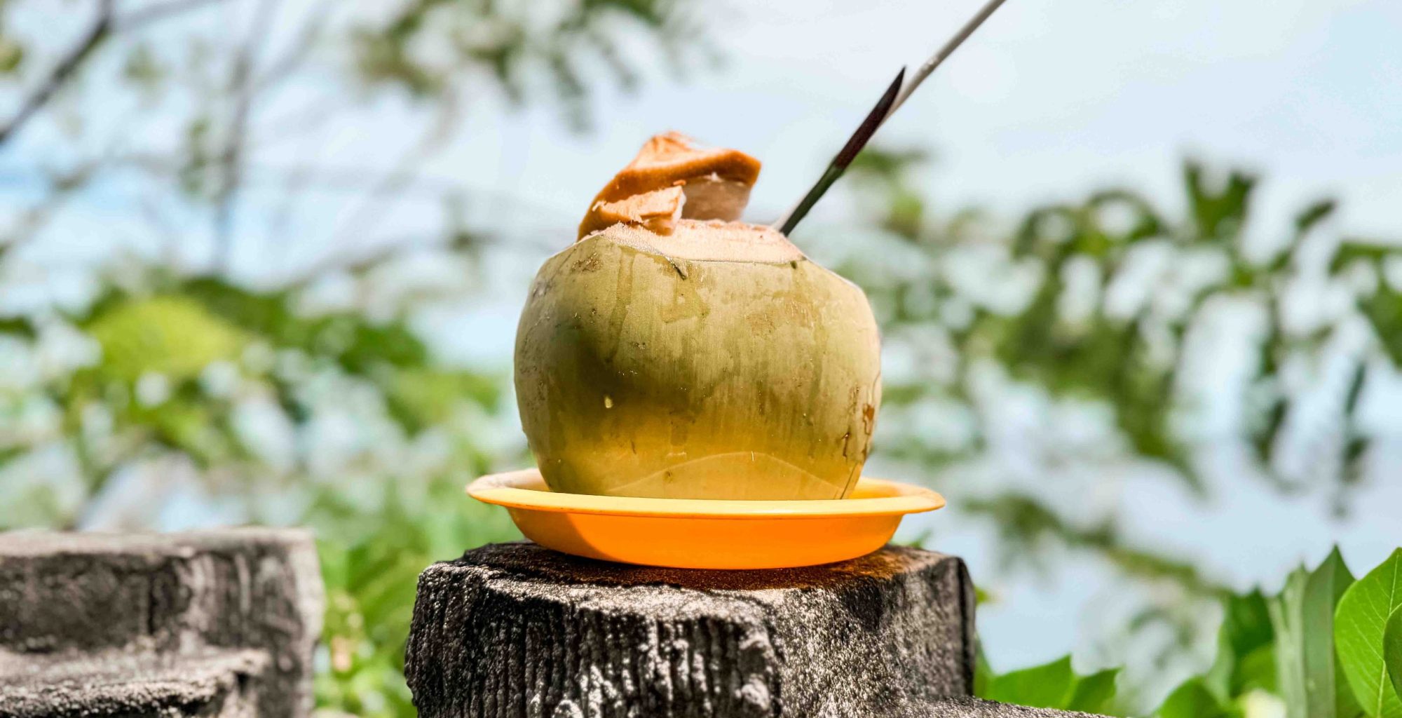 Kelapa Muda